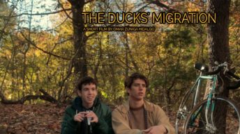 The Ducks' Migration