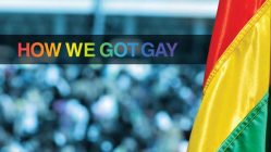 How We Got Gay (2013)