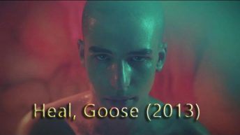 Heal, Goose (2013)