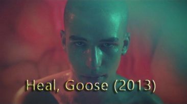 Heal, Goose (2013)
