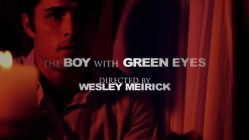The Boy with Green Eyes (2010) by Wesley Meirick