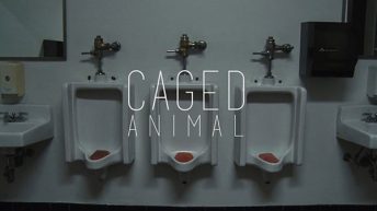Caged Animal (2016) short film by Sam Van Pykeren