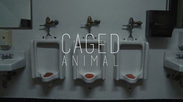 Caged Animal (2016) short film by Sam Van Pykeren