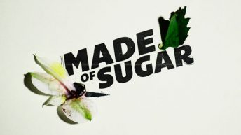 Made of Sugar (2016) short film by Kevin Rios