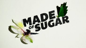 Made of Sugar (2016) short film by Kevin Rios