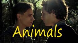 Animals (2012) by Marçal Forés - Trailer