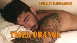 Tiger Orange (2014) A film by Wade Gasque
