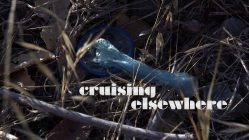 Cruising Elsewhere by Ryan White