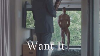 Want It (2015)