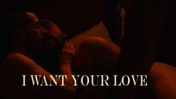 I Want your Love