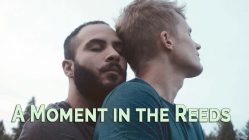 A Moment in the Reeds