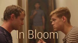 In Bloom