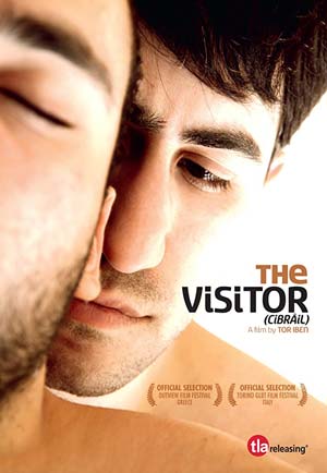 The Visitor (2011)
