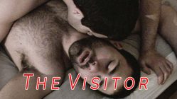 The Visitor (2011)