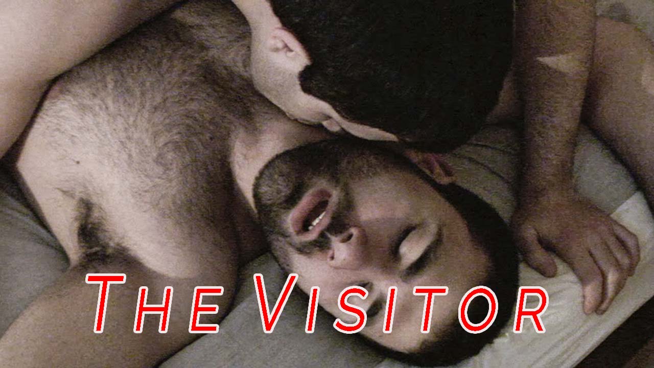 The Visitor (2011)