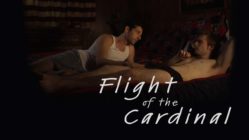 Flight of the Cardinal (2010)