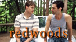 Redwoods