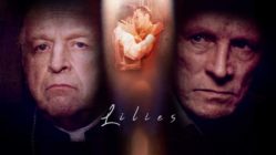 Lilies - Les feluettes