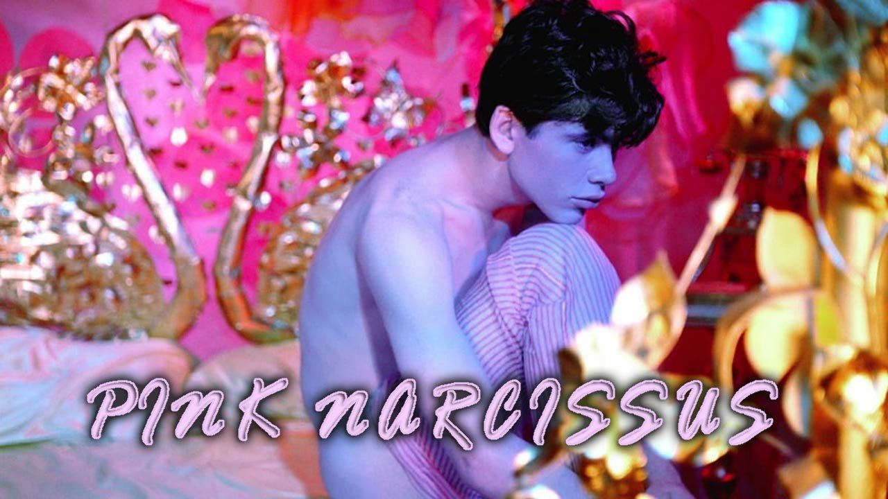 Pink Narcissus (1971)