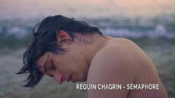 Requin Chagrin - Sémaphore