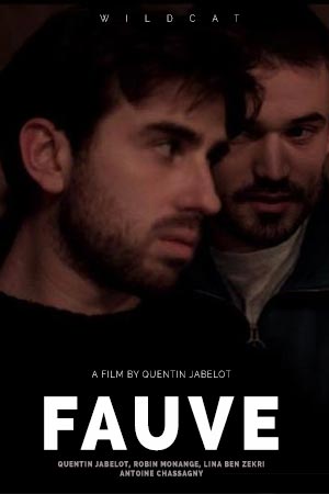 Wildcat (2021) - Fauve