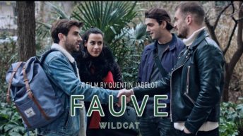 Wildcat (2017) - Fauve - a film by Quentin Jabelot