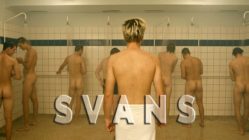 Swans (2016) - a gay short film by Martin Reinhard