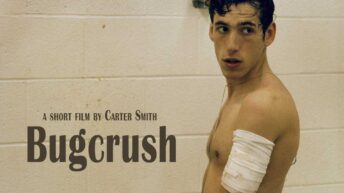 Bugcrush (2006)