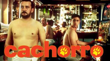 Bear Cub (2004)