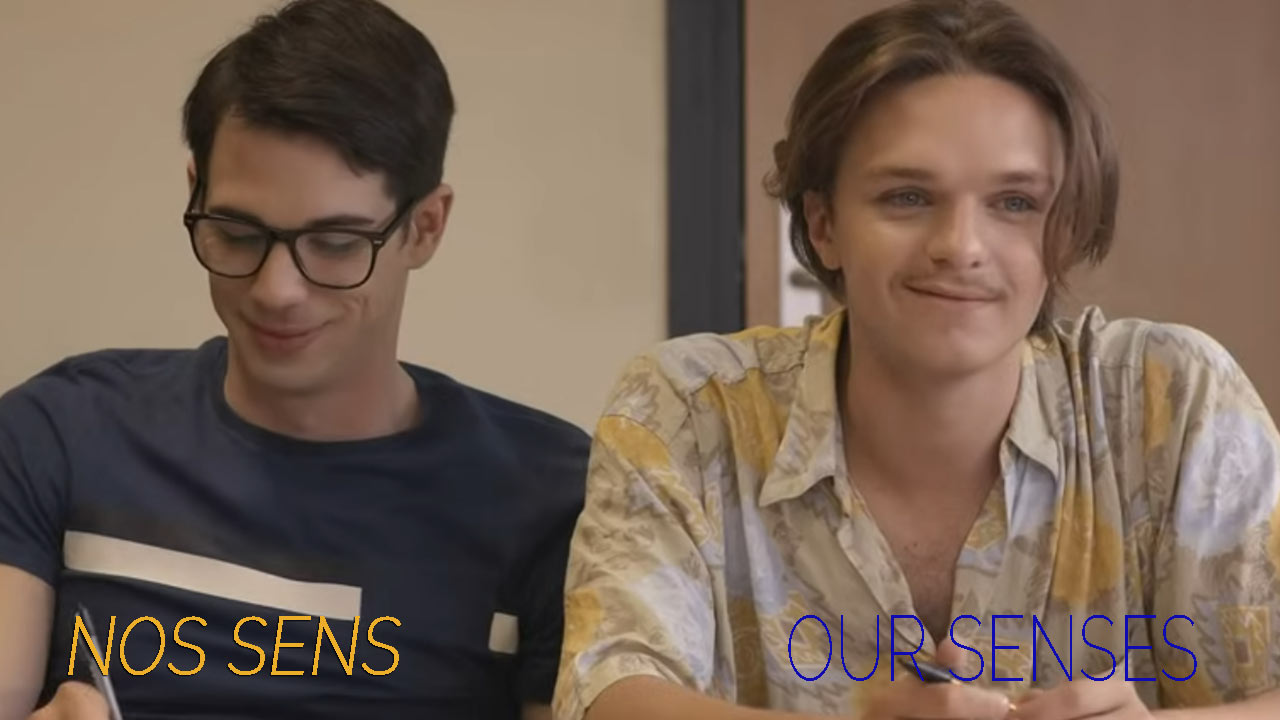 Our Senses (2024)
