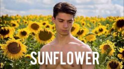 Sunflower (2023)