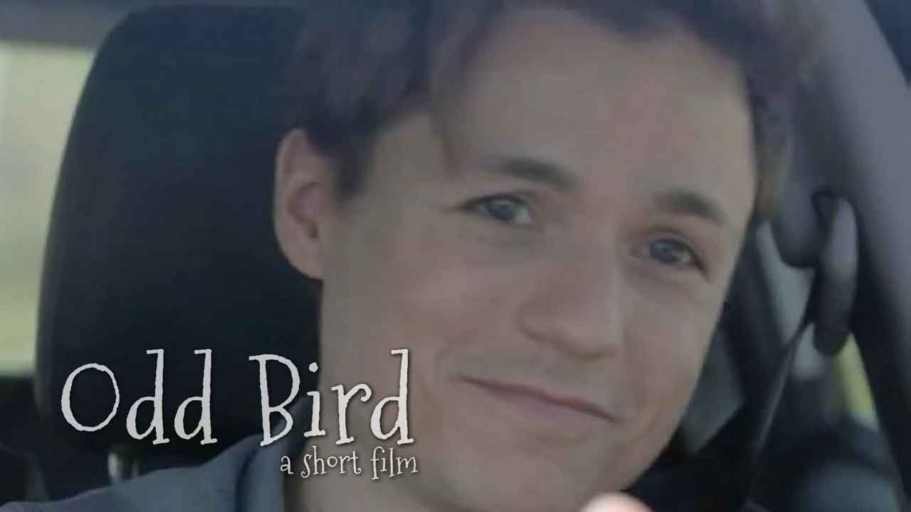 Odd Bird (2019)