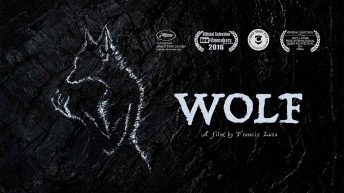 Wolf (2015)