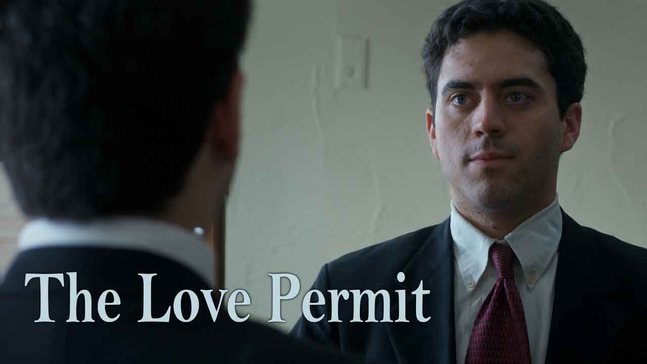 The Love Permit (2010)
