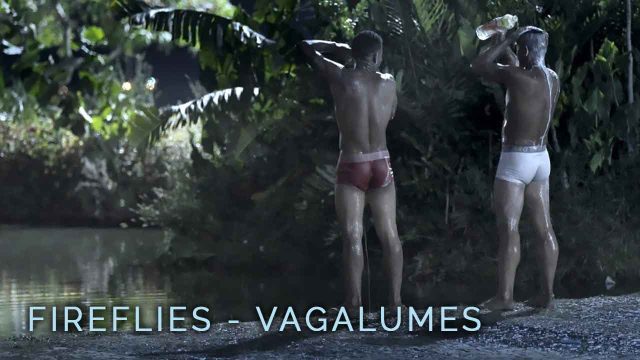 Fireflies - Vagalumes (2021)
